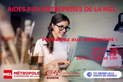 Webinaires de présentation des aides à destination des Artisans - Commerçants et Entrepreneurs du territoire métropolitain